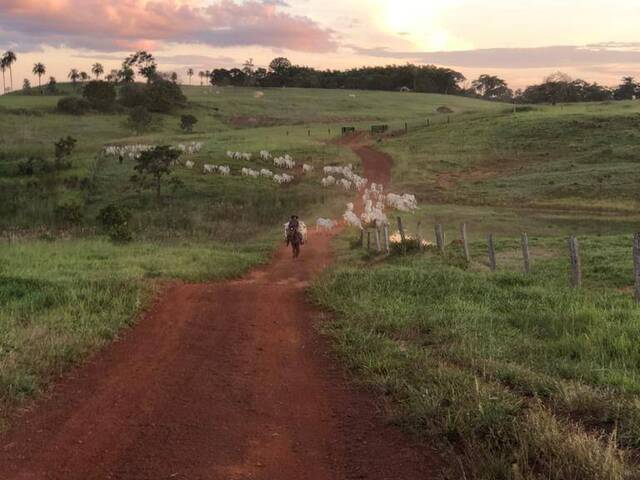 #1779 - Chácara para Venda em Cuiabá - MT - 2