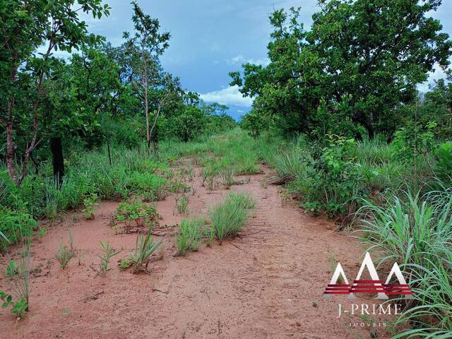 #1274 - Fazenda para Venda em Nova Brasilândia - MT - 1