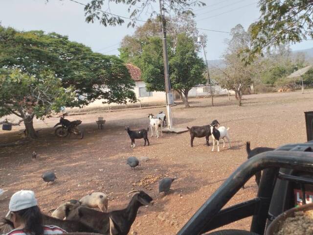 #2222 - Chácara para Venda em Cuiabá - MT - 2