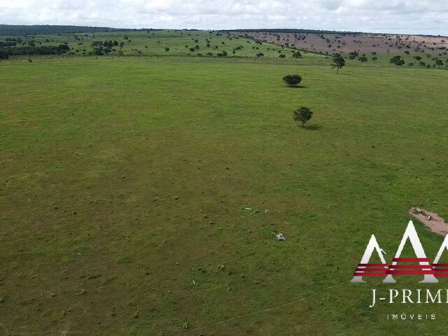 #2231 - Fazenda para Venda em Rondonópolis - MT - 3