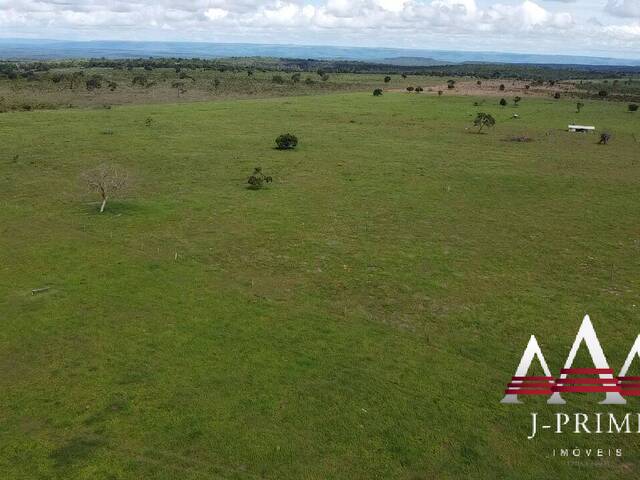 #2231 - Fazenda para Venda em Rondonópolis - MT - 2