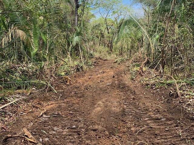 #2237 - Fazenda para Venda em Jaciara - MT - 3