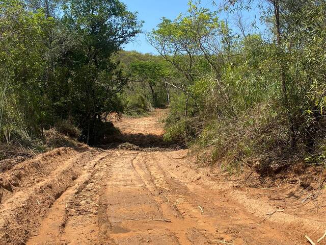 #2237 - Fazenda para Venda em Jaciara - MT - 2