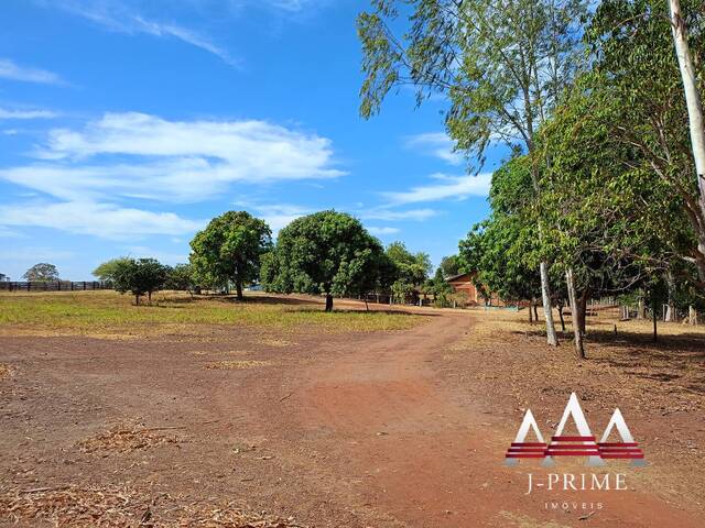 #827 - Fazenda para Venda em Jangada - MT - 3