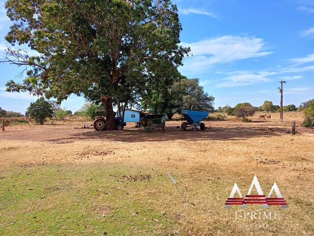 #827 - Fazenda para Venda em Jangada - MT - 2