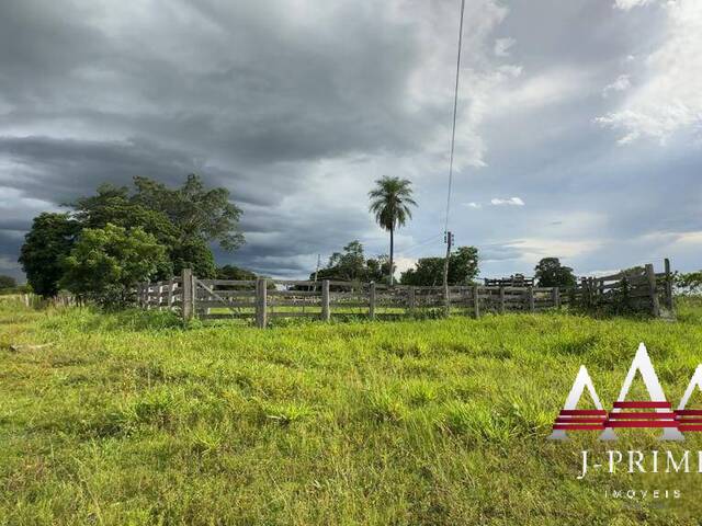 #2403 - Fazenda para Venda em Cuiabá - MT - 3