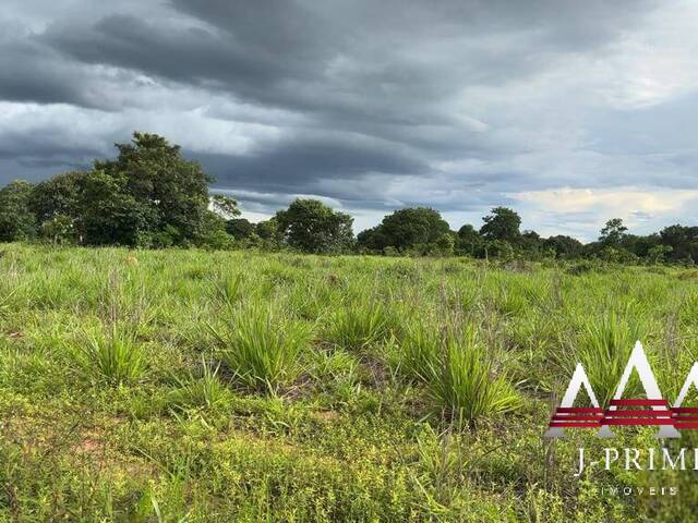 #2403 - Fazenda para Venda em Cuiabá - MT - 2