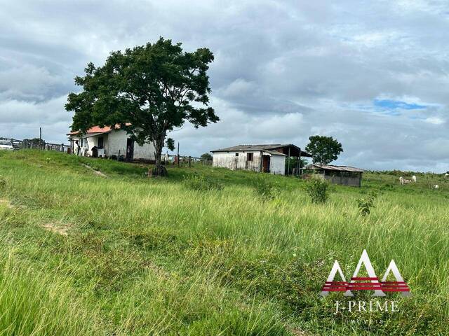 #2426 - Fazenda para Venda em Cuiabá - MT - 2