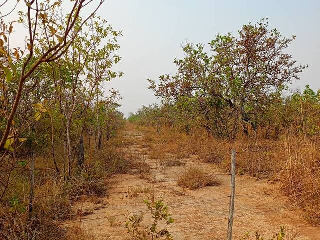 Venda em Zona Rural - Nova Brasilândia