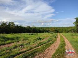 #881 - Fazenda para Venda em Jangada - MT - 2